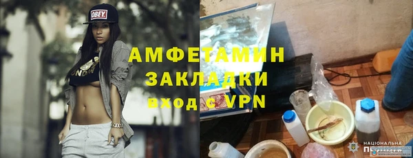 шишки Дегтярск