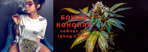 таблы Козельск