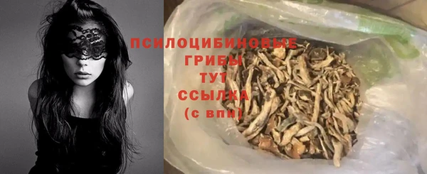ECSTASY Кодинск