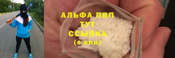 СК Коряжма