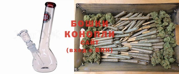 прущая мука Козловка