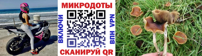 магазин продажи   Котельники  Галлюциногенные грибы Psilocybine cubensis 