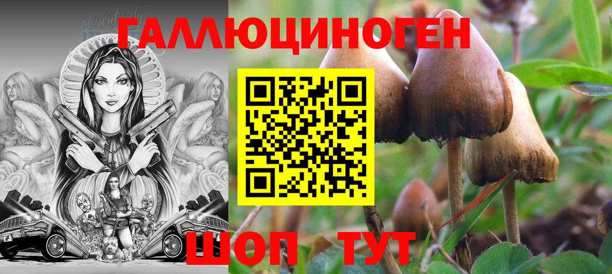 Галлюциногенные грибы GOLDEN TEACHER Котельники