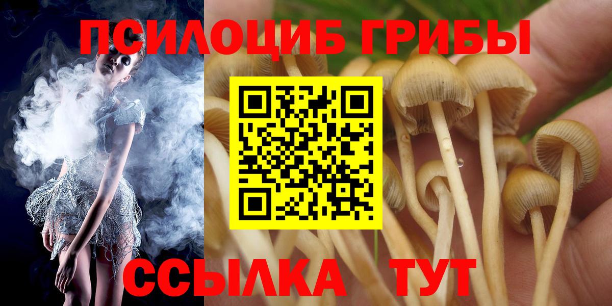 Галлюциногенные грибы Psilocybe  Вход с VPN  Псилоцибиновые грибы Cubensis  Котельники 